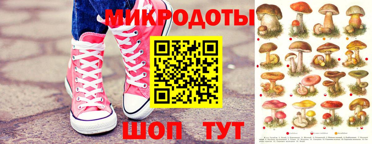 дарнет шоп  Псилоцибиновые грибы прущие грибы  Вход с VPN  Грозный  Галлюциногенные грибы Magic Shrooms 